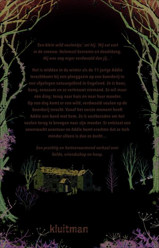 Het meisje en het veulen – achterflap