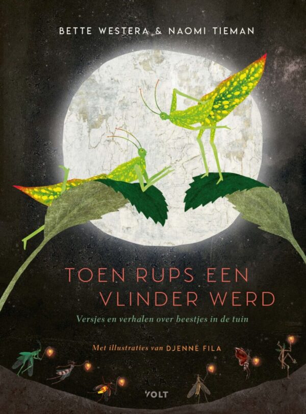 Toen rups een vlinder werd – cover