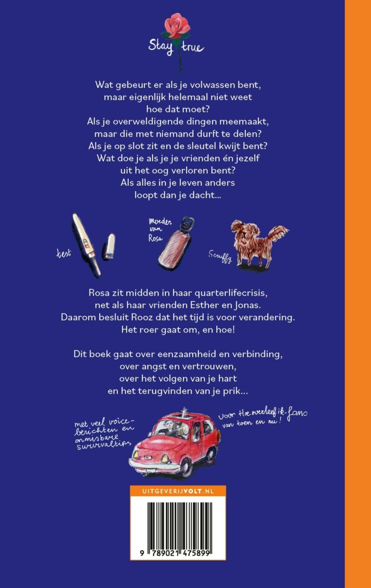 Hoe overleef ik alles wat ik niemand vertel? – achterflap