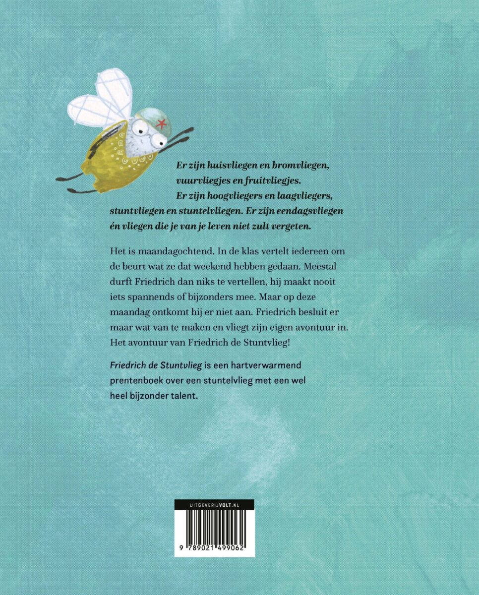 Friedrich de stuntvlieg β achterflap
