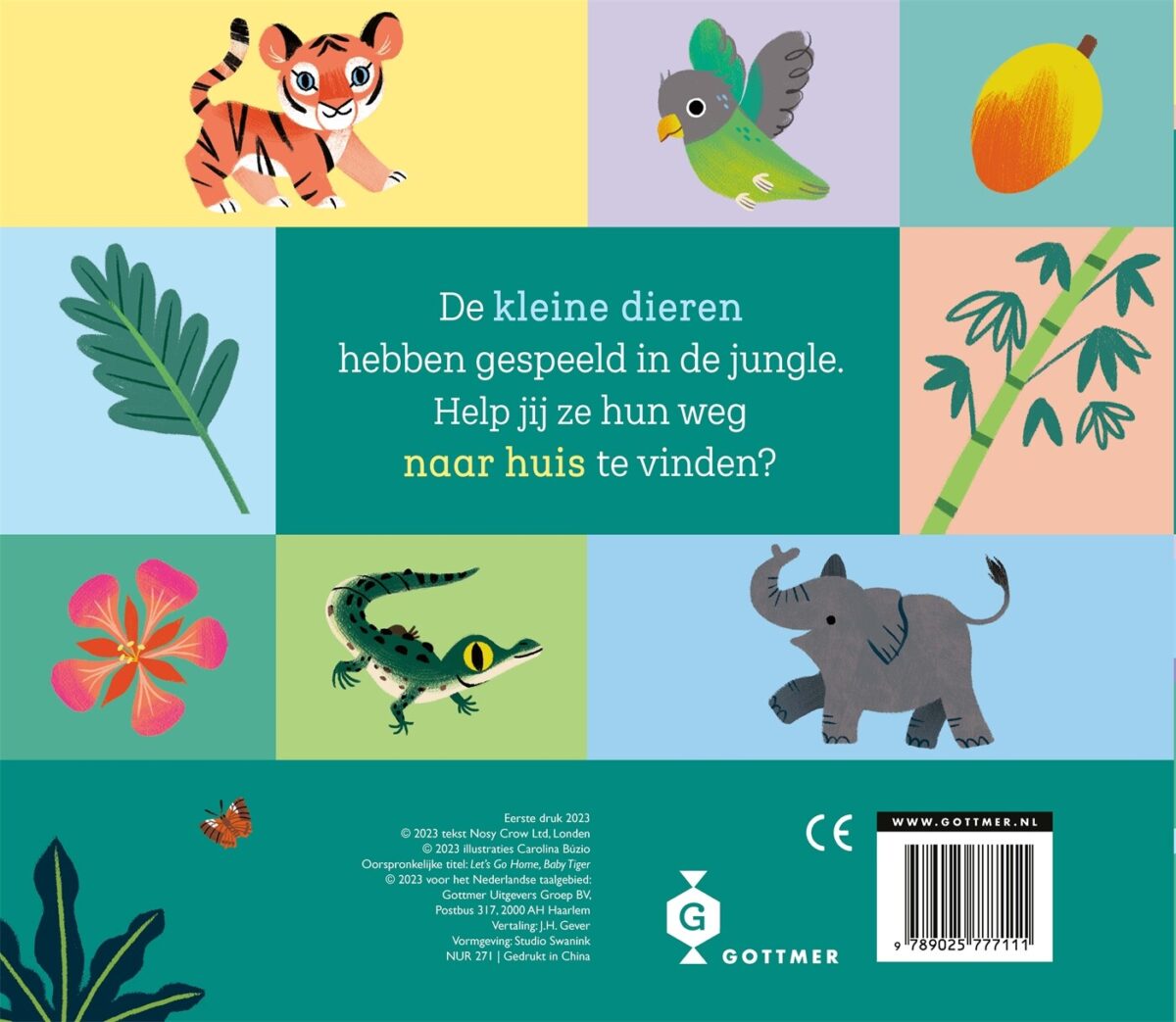 Kom je thuis, kleine tijger? – achterflap