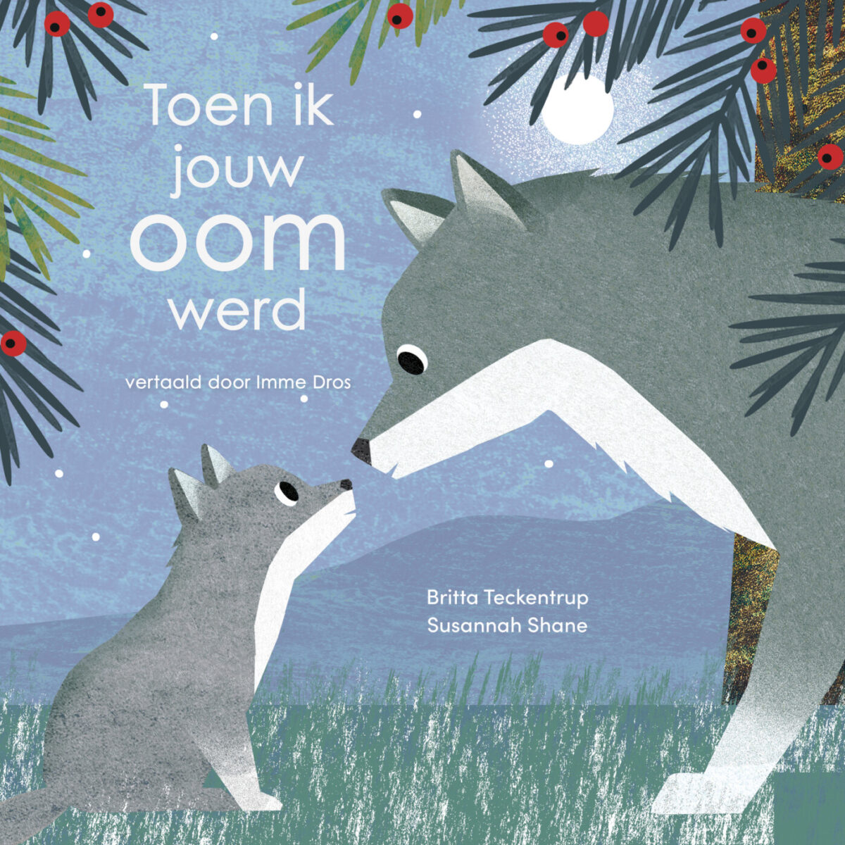 Toen ik jouw oom werd – cover