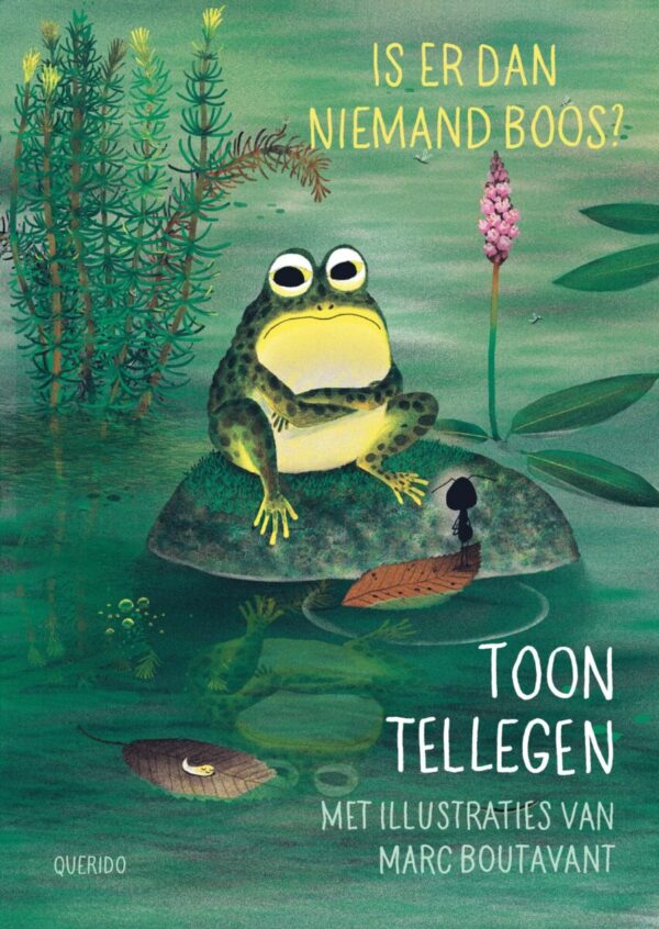 Is er dan niemand boos? – cover