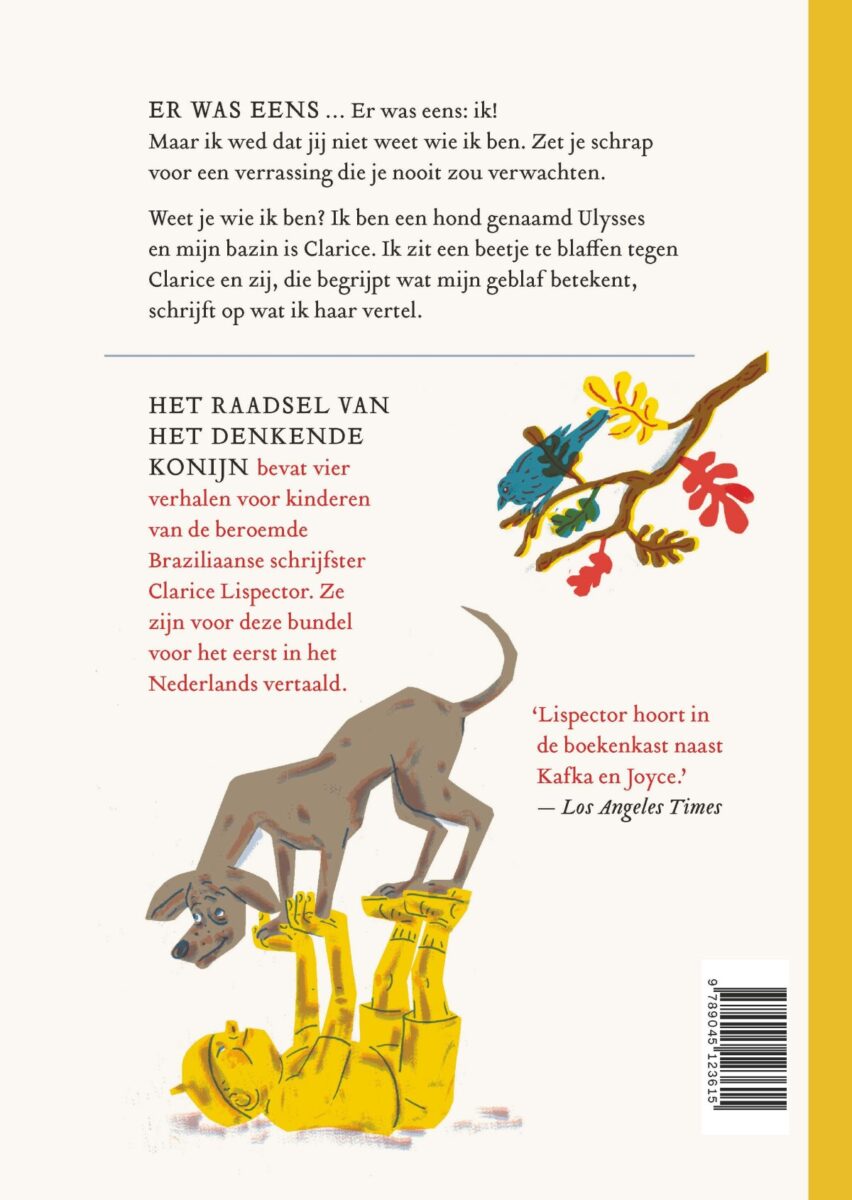 Het raadsel van het denkende konijn en andere verhalen – achterflap