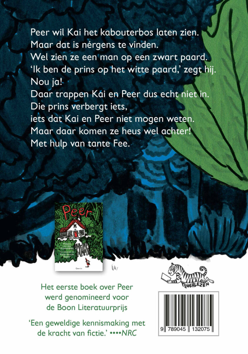 De prins op het zwarte paard – achterflap