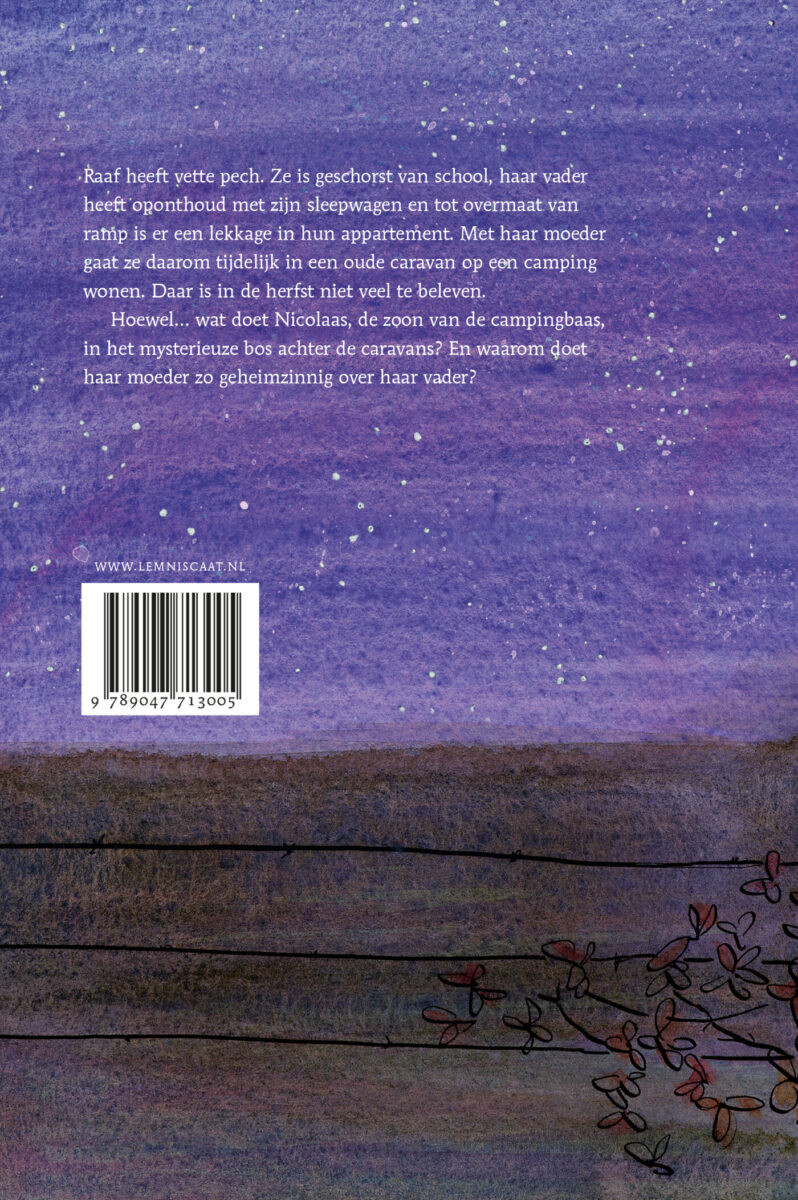 Het kleine heelal – achterflap