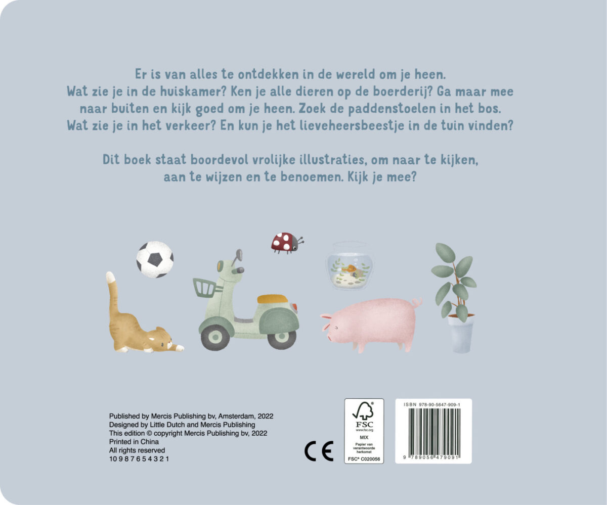 De wereld om je heen – achterflap