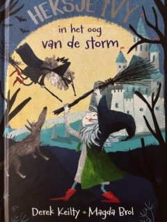 In het oog van de storm – cover