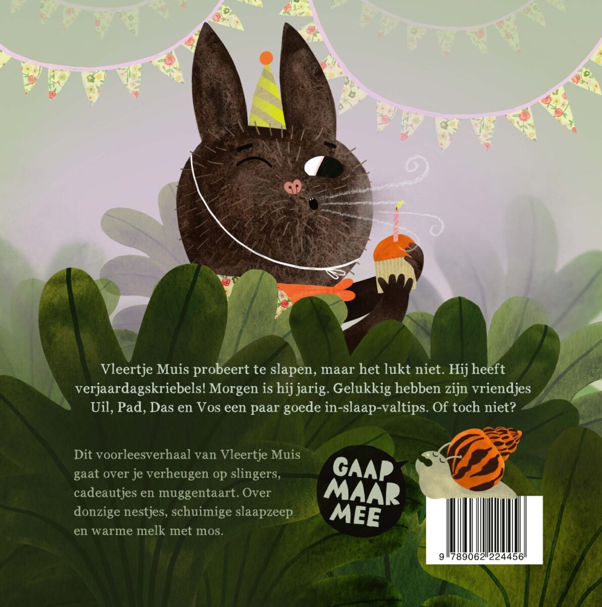 Vleertje Muis en het gaapconcert – achterflap