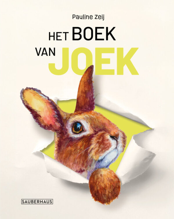 Het boek van Joek – cover