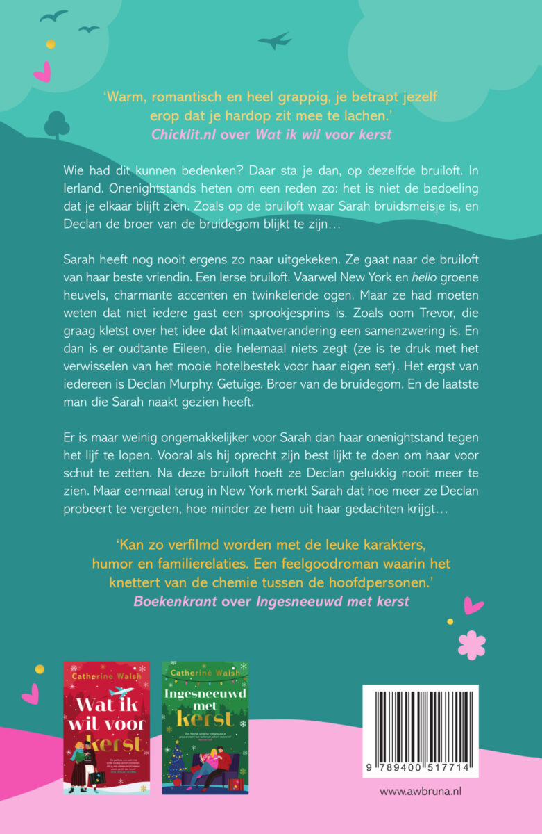 Niet meer dan een nacht – achterflap