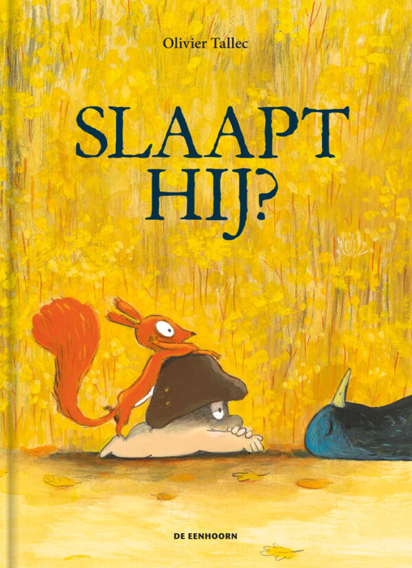 Slaapt hij? – cover