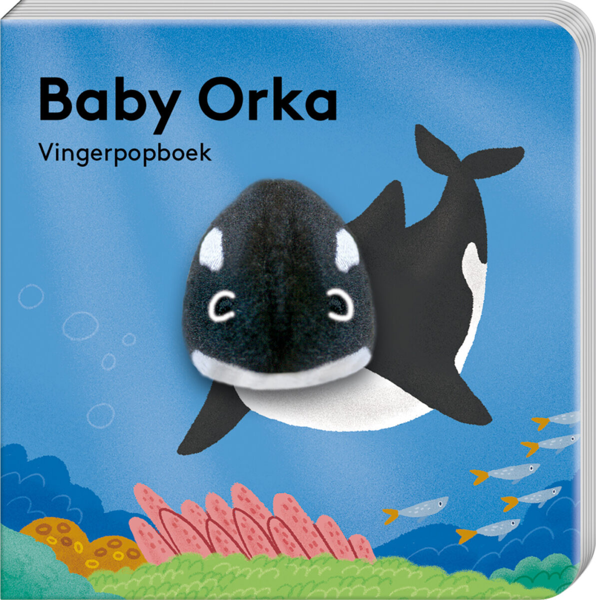 Baby Orka β cover