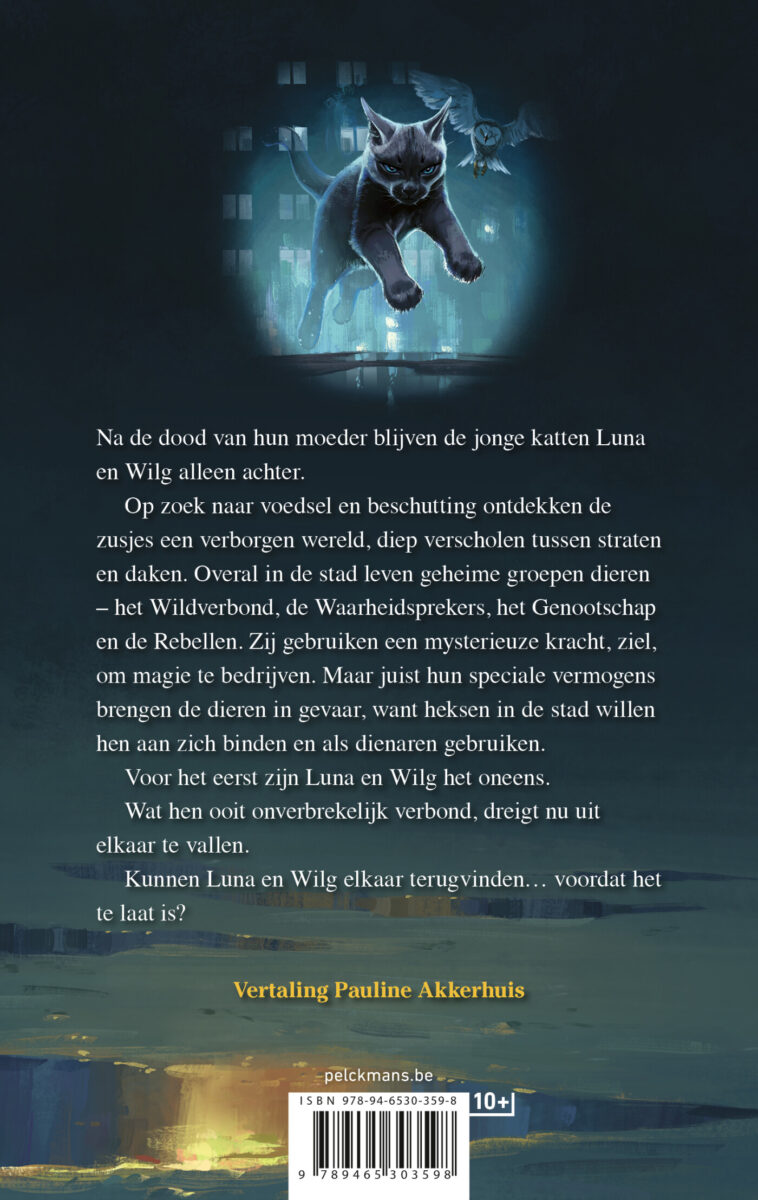 De magie ontwaakt – achterflap